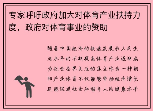 专家呼吁政府加大对体育产业扶持力度，政府对体育事业的赞助