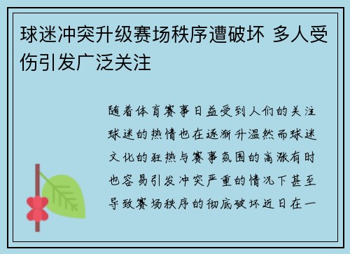 球迷冲突升级赛场秩序遭破坏 多人受伤引发广泛关注